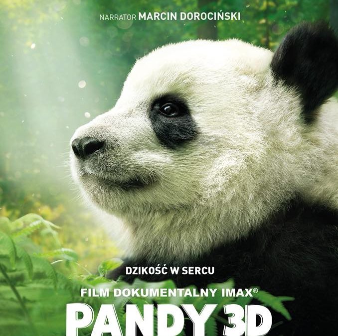 ’Pandy 3D’